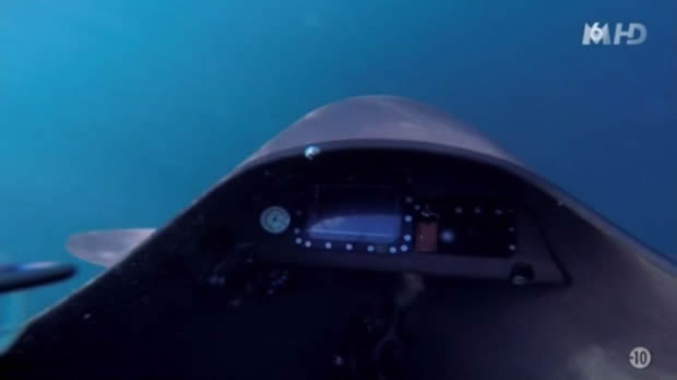 The last ship