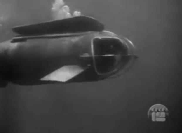 Sea Hunt