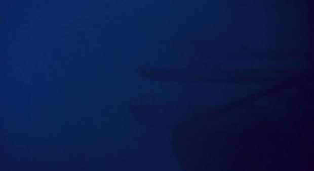 The Incredible Mr. Limpet