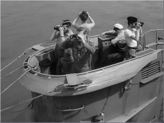 Haie und Kleine Fische
