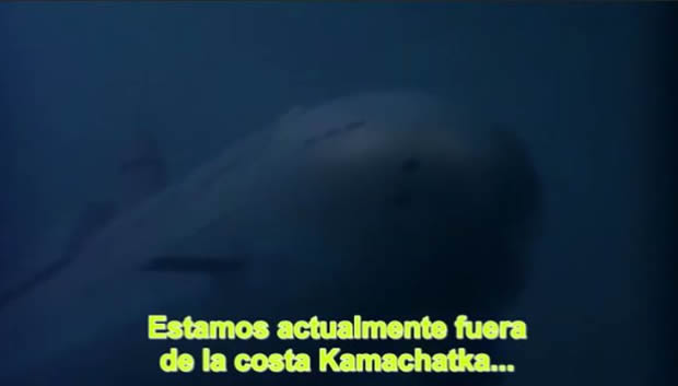 Godzilla vs. King Ghidorah
