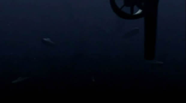Mega Shark vs Giant Octopus