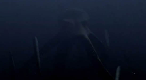 Mega Shark vs Giant Octopus