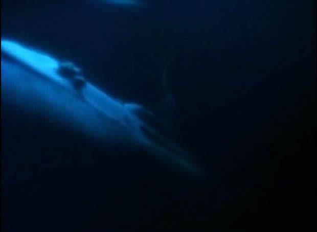 Unknown origin