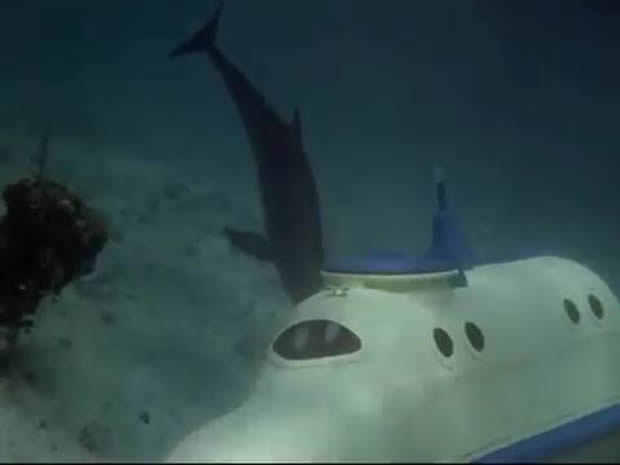 Flipper