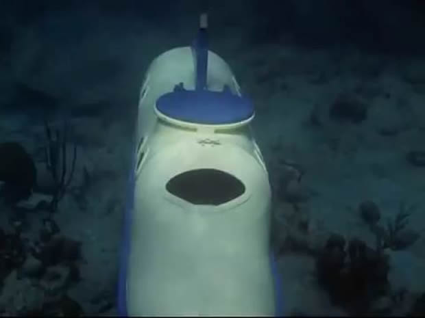 Flipper