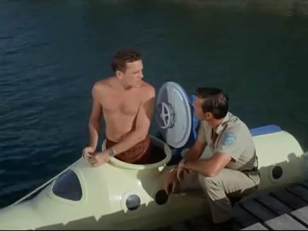 Flipper