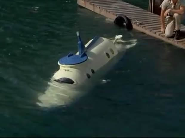 Flipper