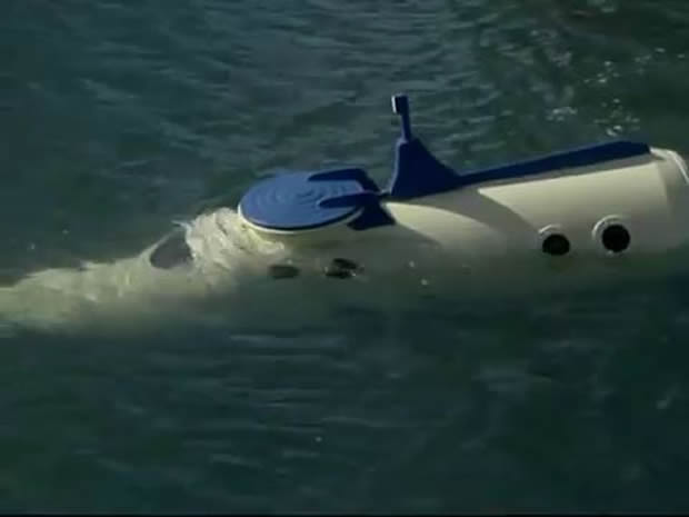Flipper