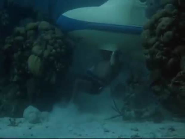 Flipper