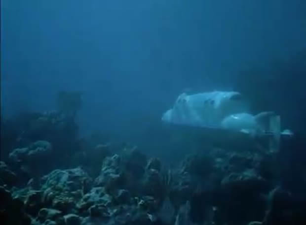 Flipper