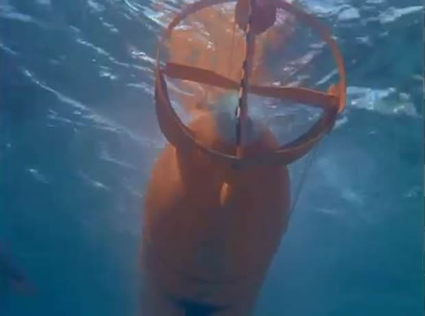 Flipper