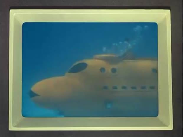 Flipper