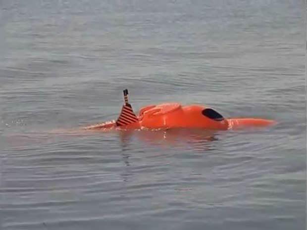 Flipper