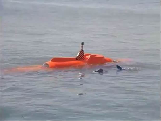 Flipper