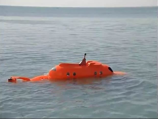 Flipper