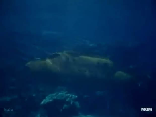 Flipper