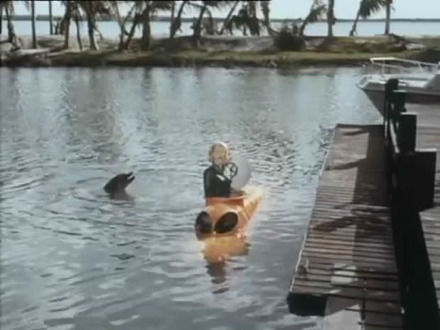 Flipper