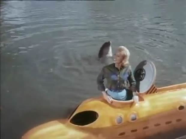 Flipper