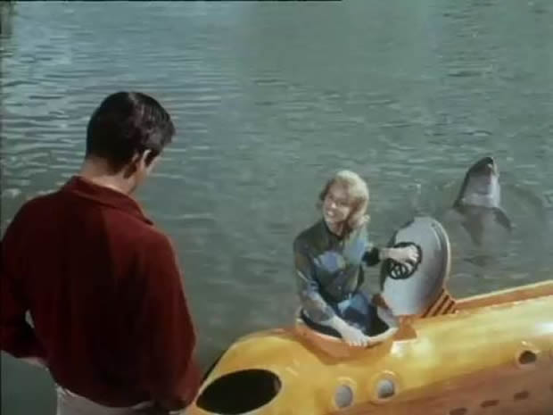 Flipper