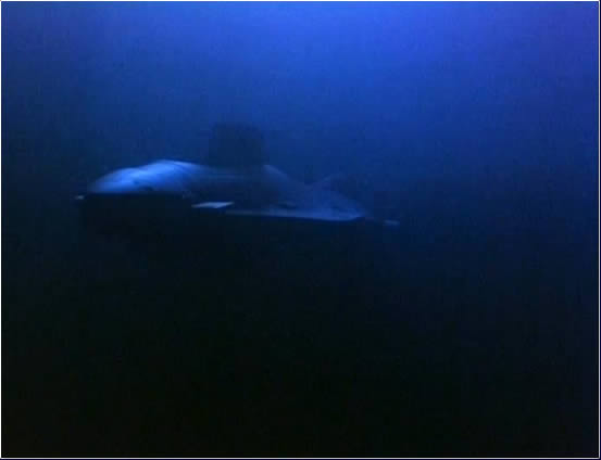 Nautilus