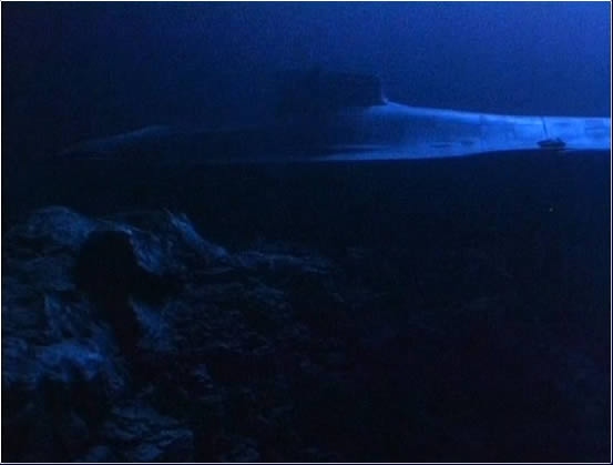 Nautilus