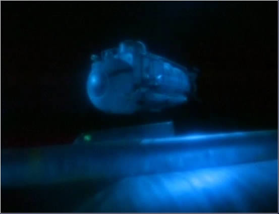Nautilus