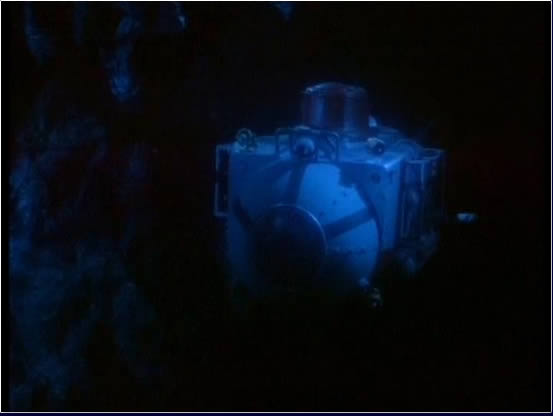 Nautilus