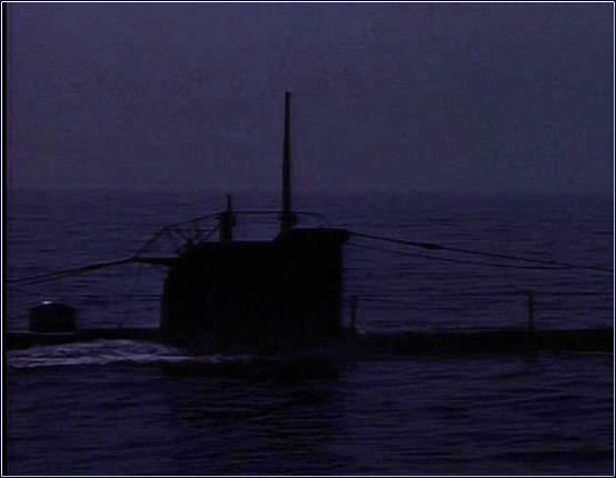 Mission of the shark : The saga of the USS Indianapolis