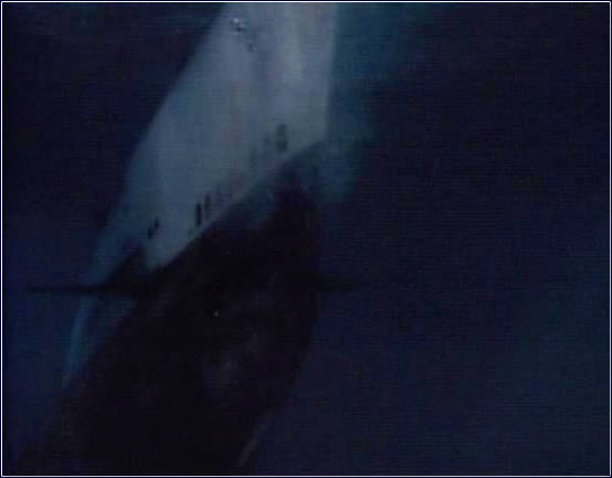 Mission of the shark : The saga of the USS Indianapolis