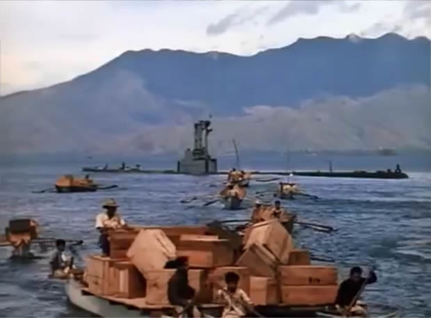 American guerrilla in the Philippines