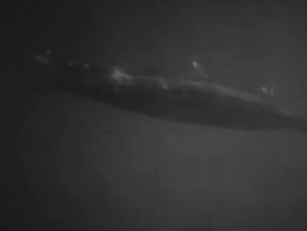Submarine raider