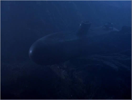 Octopus