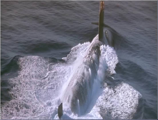 Menace sur la Navy