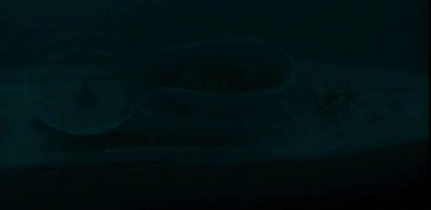 Das Boot
