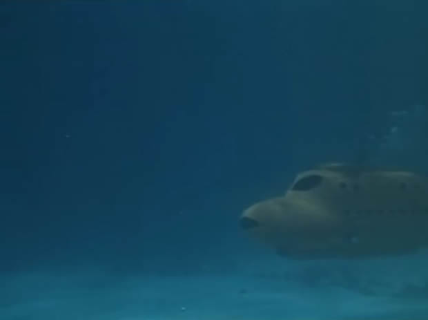 Flipper le dauphin