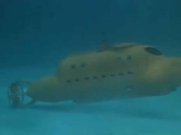 Flipper le dauphin