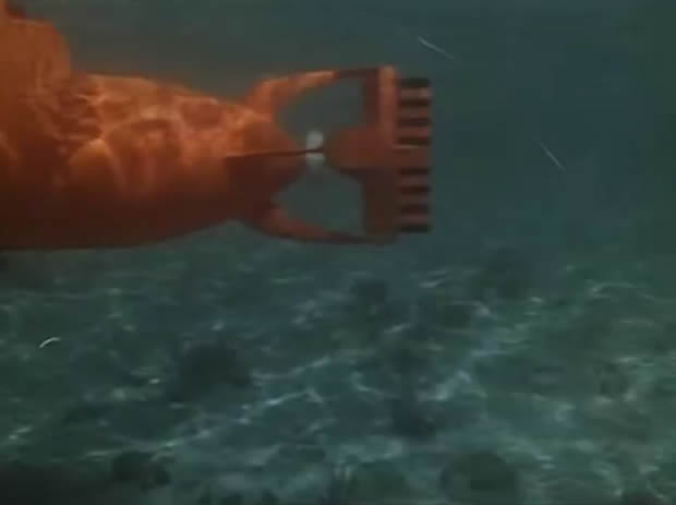 Flipper le dauphin