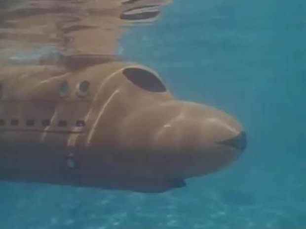 Flipper le dauphin