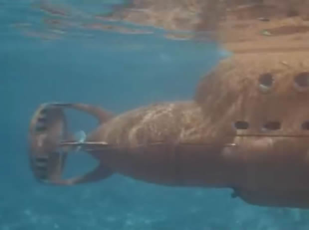 Flipper le dauphin