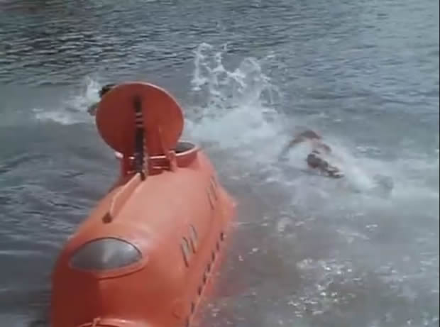 Flipper le dauphin