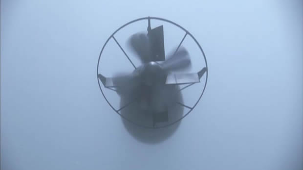 Shinjuwan Kara no Kikan