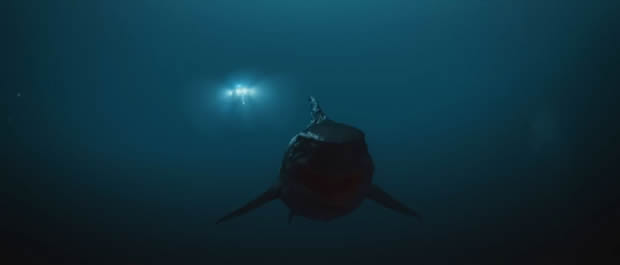 Land Shark