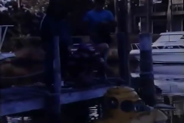 They bite