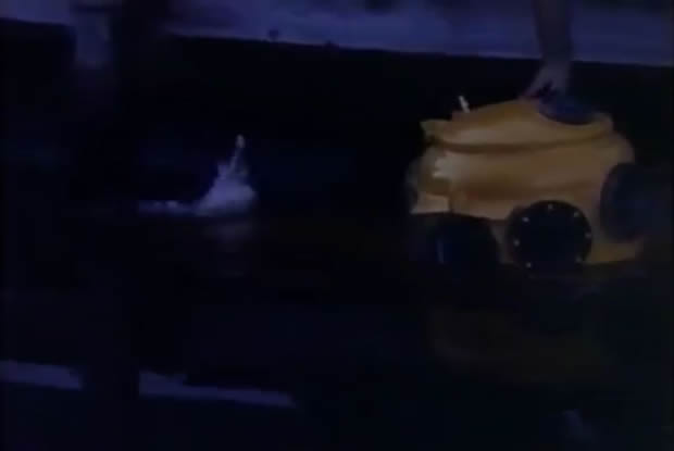 They bite