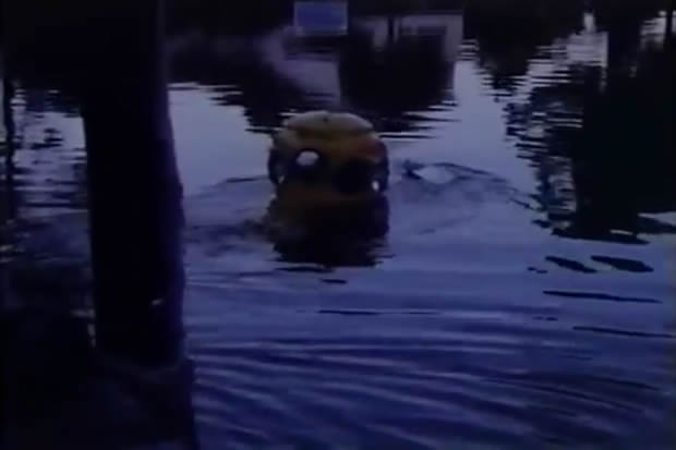 They bite