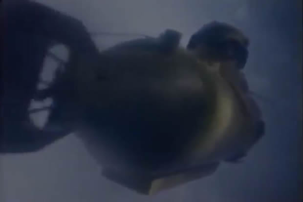 They bite