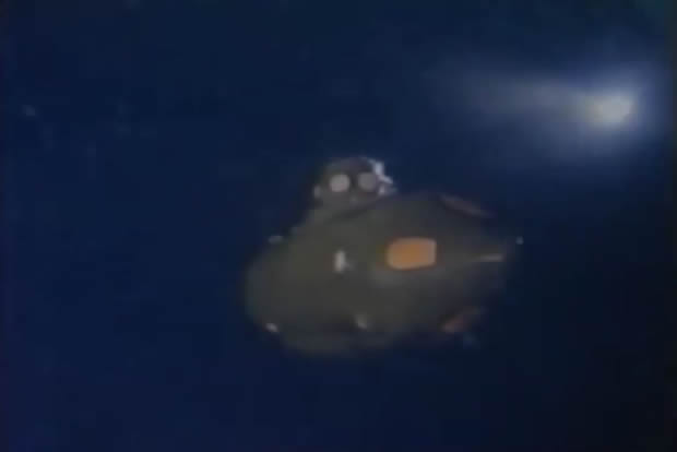 They bite