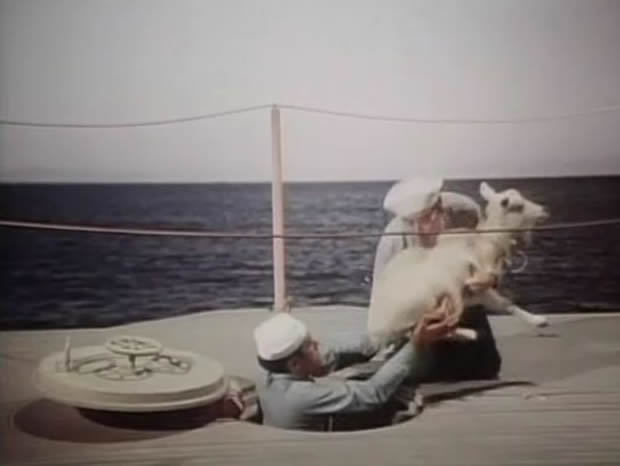 Operation Petticoat