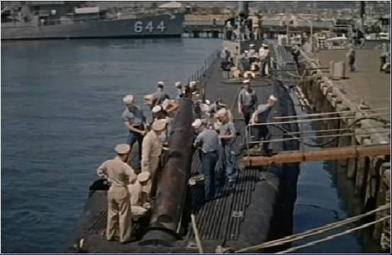Up periscope